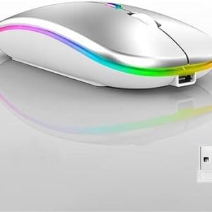 Wireless Bluetooth Mouse,LED Dual Mode Rechargeable Silent Slim Laptop Mouse,Portable(BT5.2+USB Receiver) Dual Mode Computer Mice,for Laptop,Desktop Computer,ipad Tablet,Phone,Mac(Sliver White)